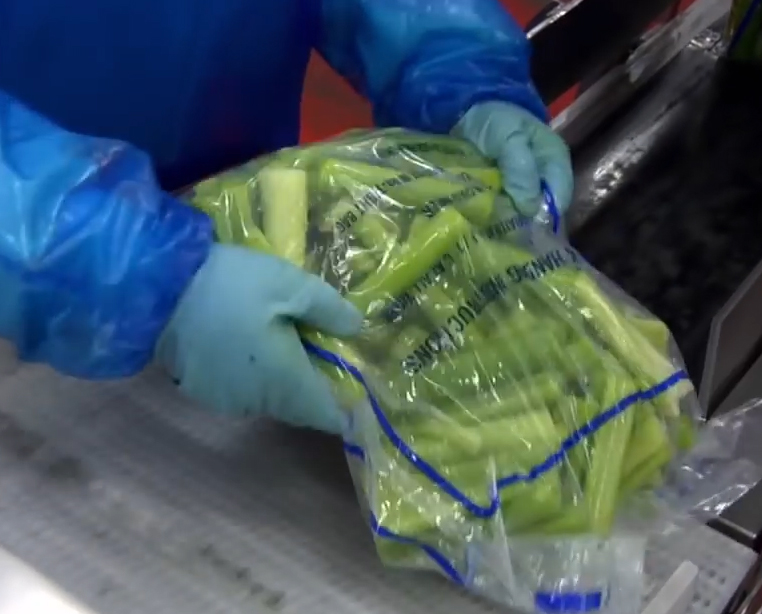 KMT Water cut celery packaged processed at Duda