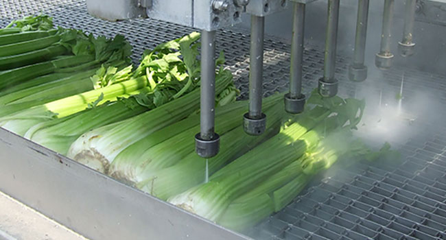 one dimensional waterjet cutting celery