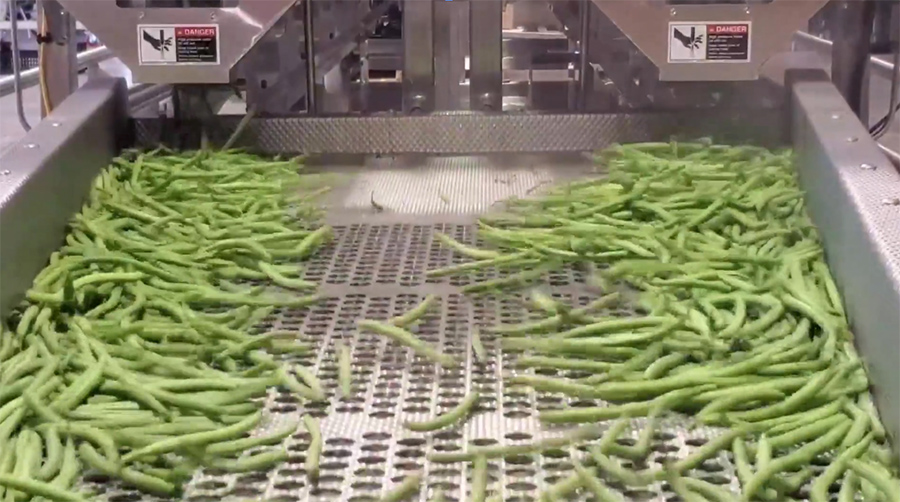 KMT Waterjet cutting green beans