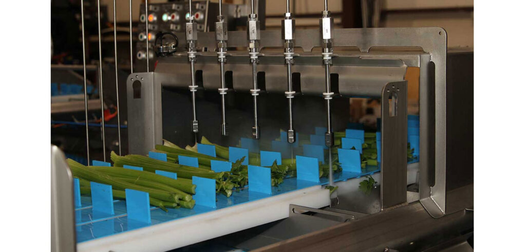 XILIX Dual Celery Cutting System - Perfect Portion Control