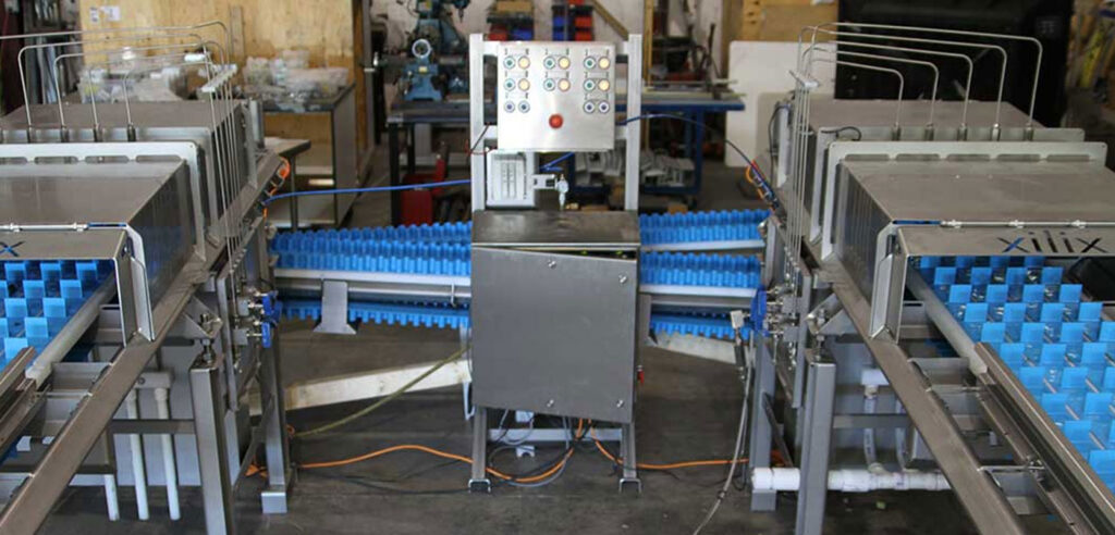 XILIX Waterjet Cutting Celery - Dual Conveyor System
